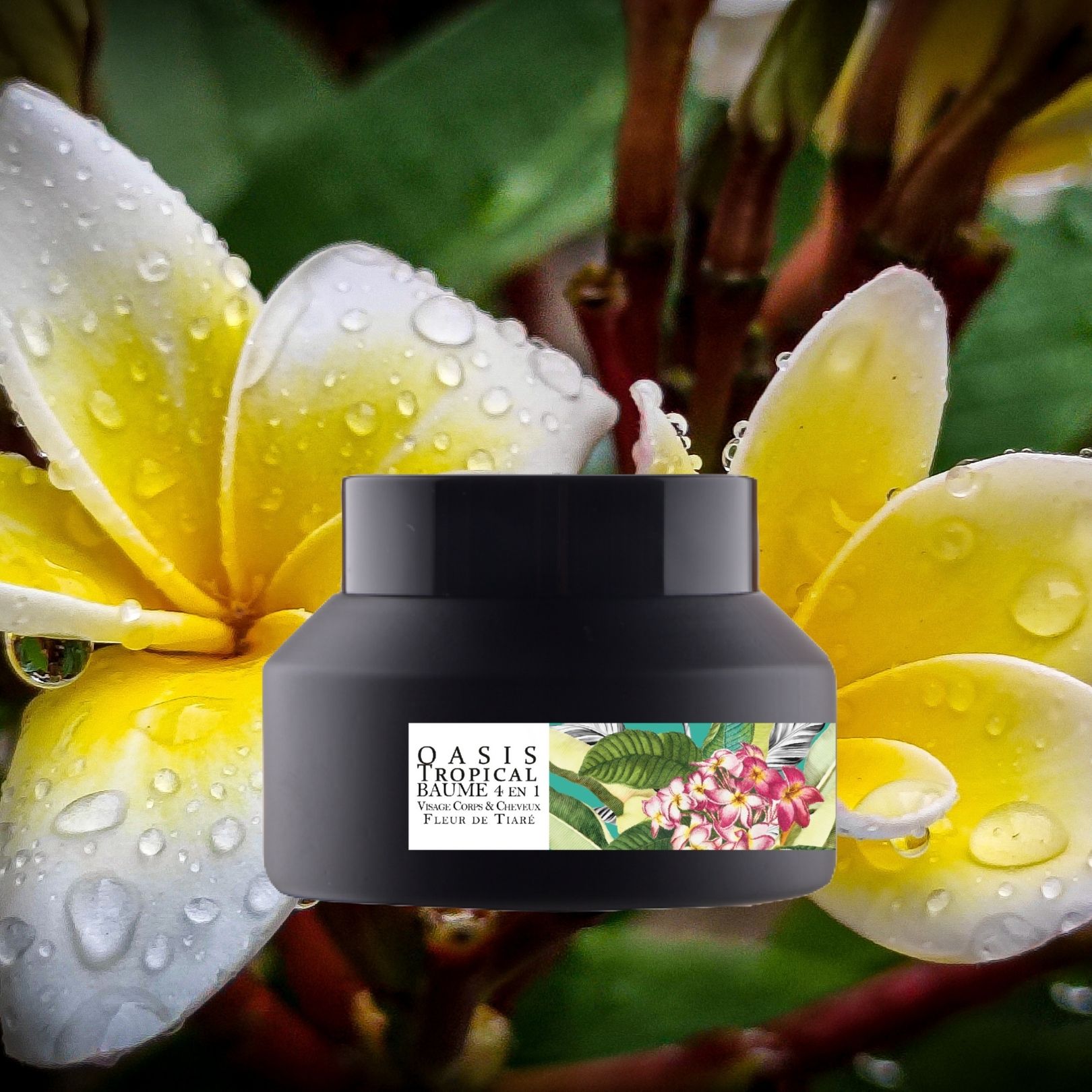 Oasis Tropical - VEGAN
