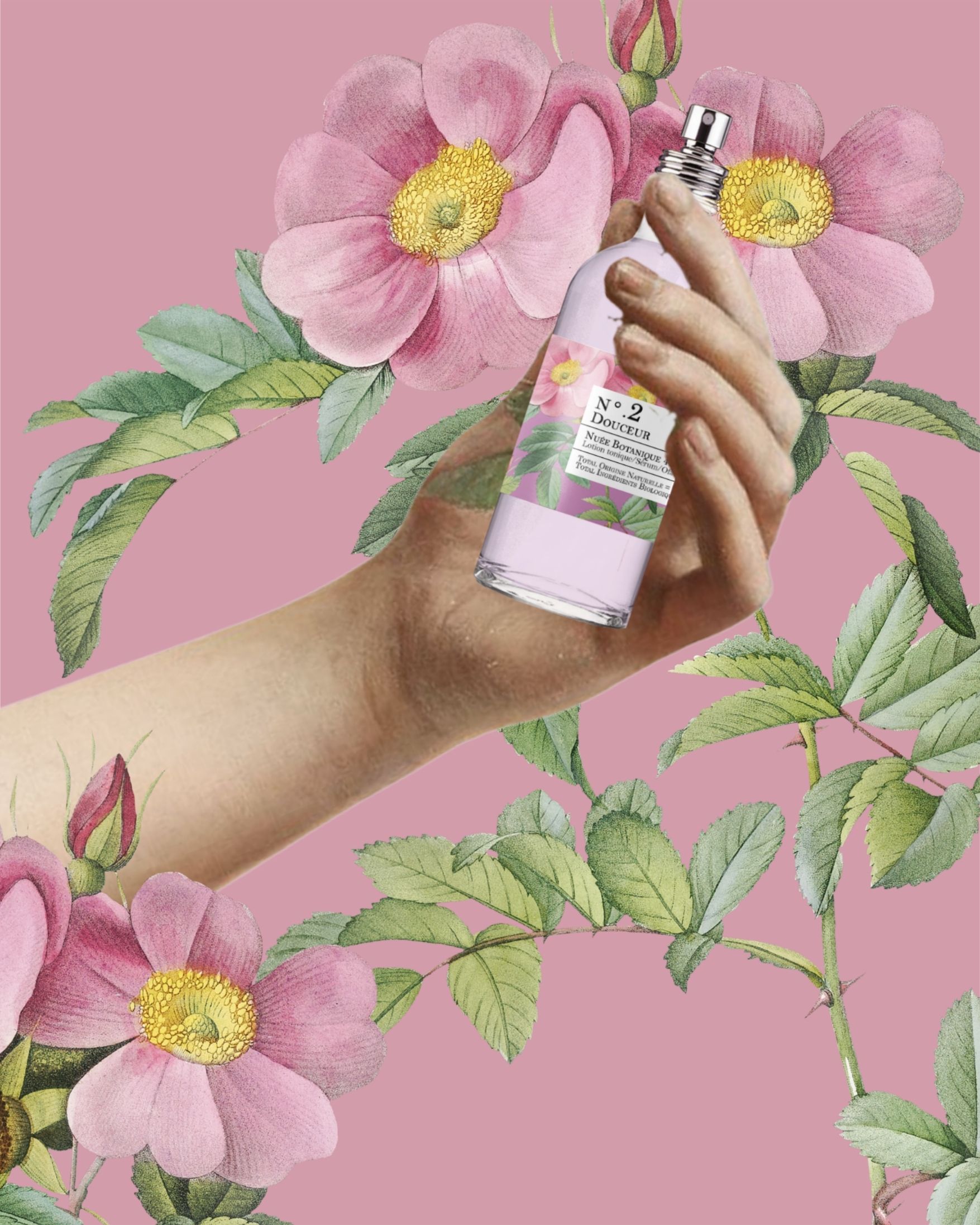 Mixologie Botanique N°2 Douceur