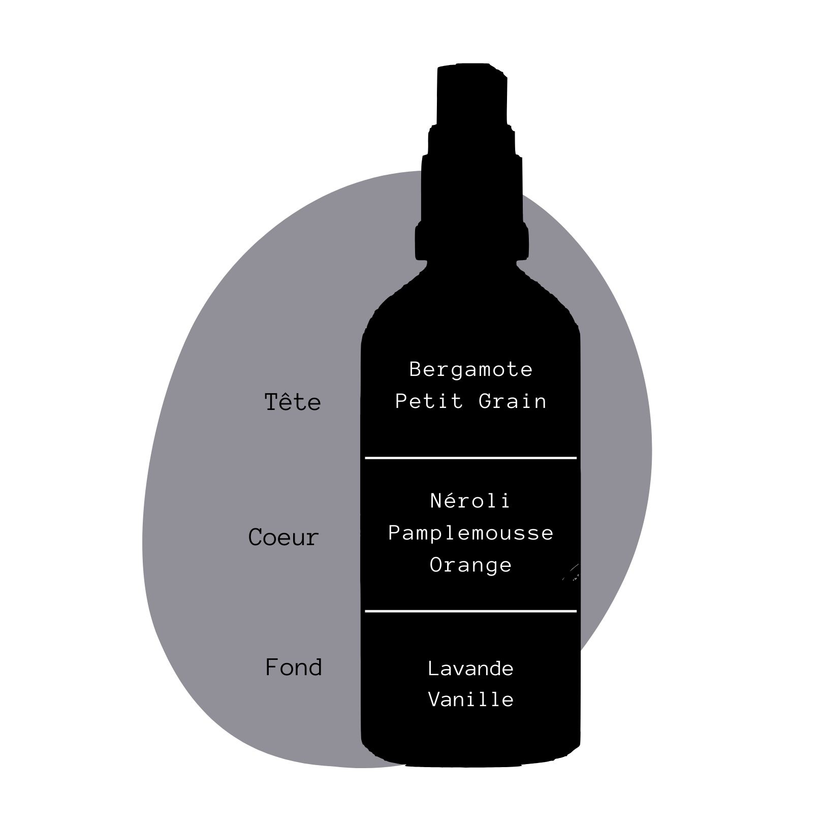 NUITS de REVES - Parfum d'Atmosphère. OlfaDerma