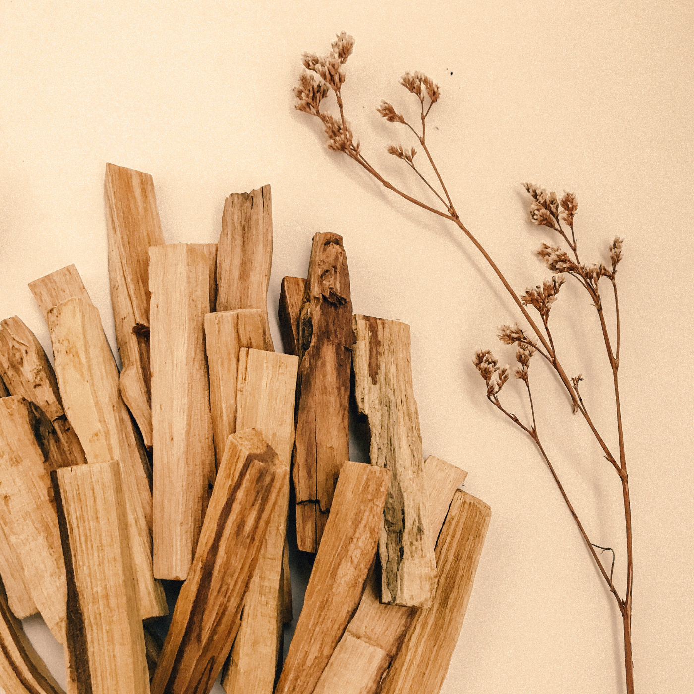 Cône d'encens naturels - bois & résines.