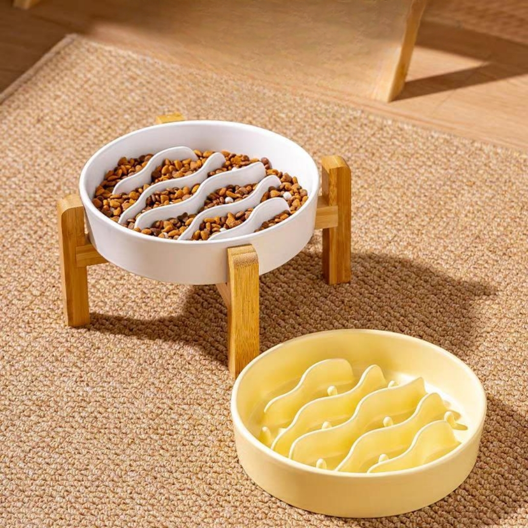 Slow Feeder Pet Bowl