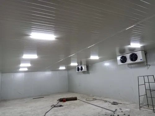 Storage Cold Room Plus 2 To 4 Degrees For Frozen Foods