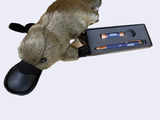 Rose Gold Pen & Torch Set