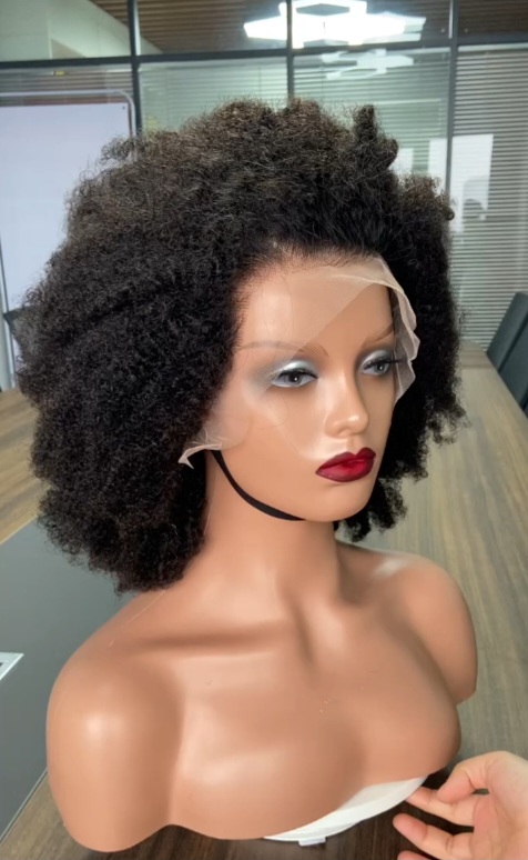 4c Afro Curly Human Hair Lace Front Wig