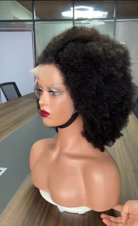 4c Afro Curly Human Hair Lace Front Wig