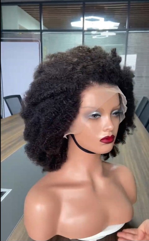 4c Afro Curly Human Hair Lace Front Wig