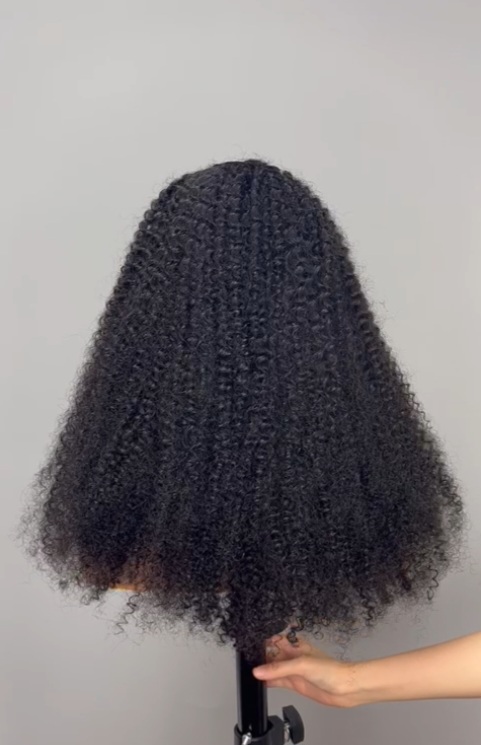 Kinky Curly Human Hair Lace Front Wig