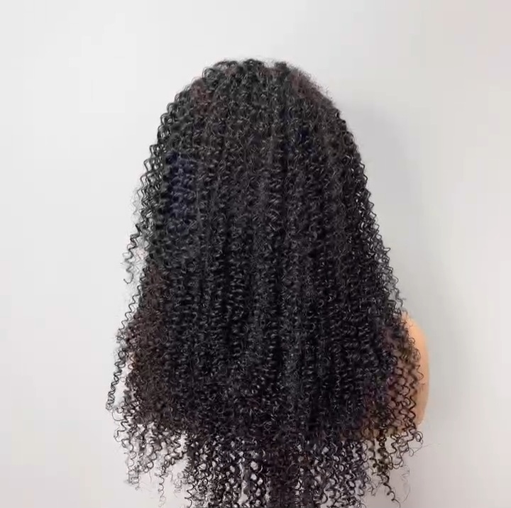 Curly Brazilian Human Hair Lace Front Wig