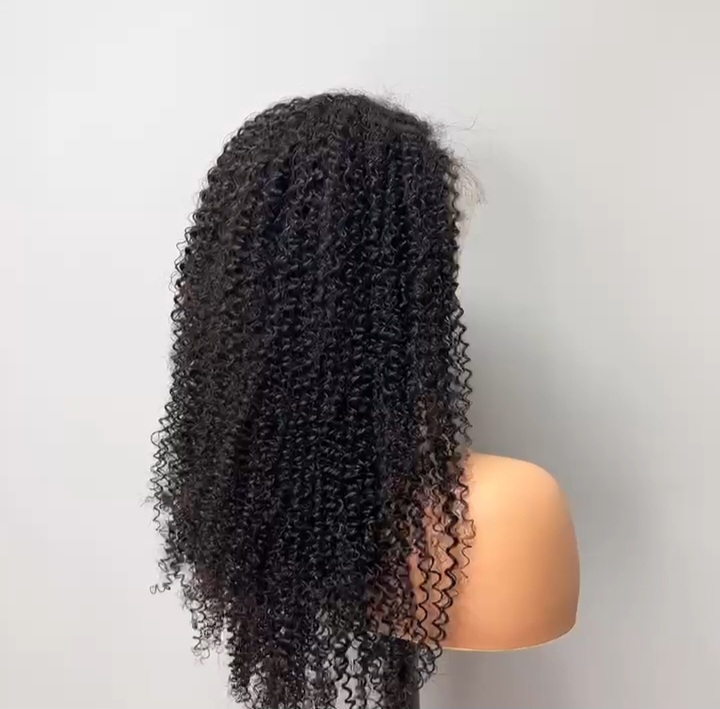 Curly Brazilian Human Hair Lace Front Wig
