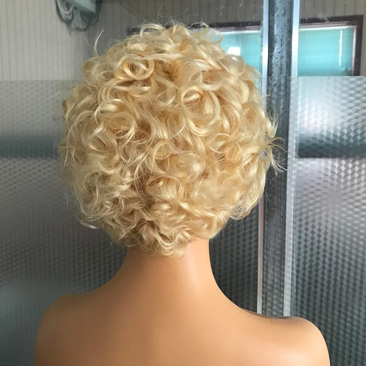 Blonde Curly Pixie Cut Lace Front Wig