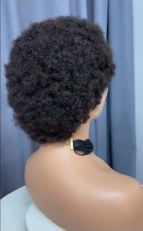 Afro Human Hair Lace Front Wig