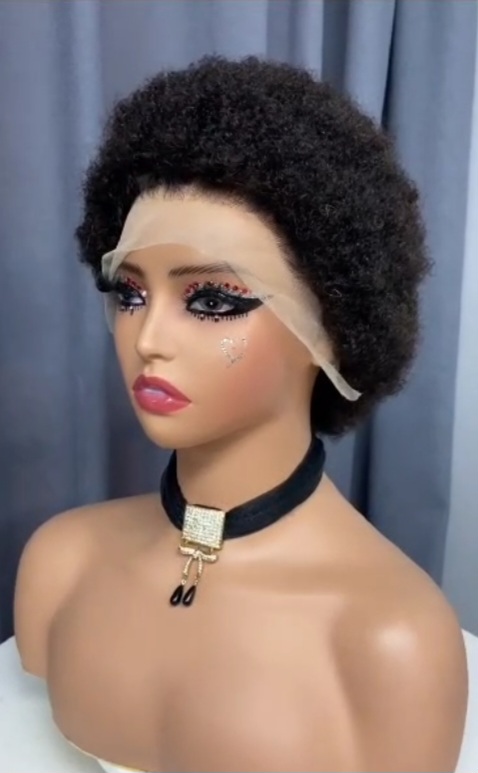 Afro Human Hair Lace Front Wig