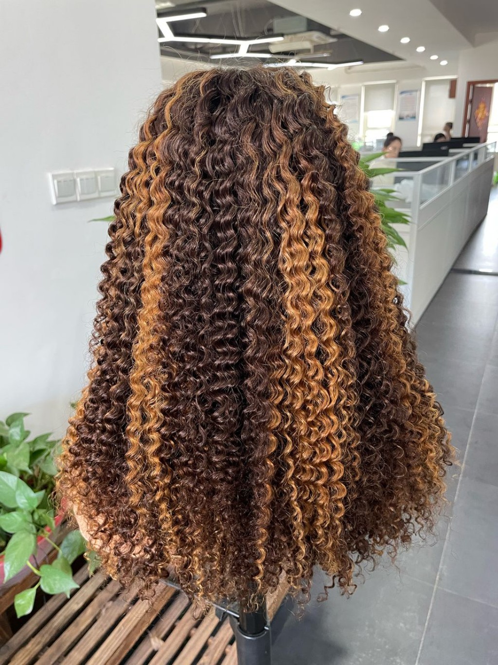 Color 4/30 Curly Highlights Lace Front Wig