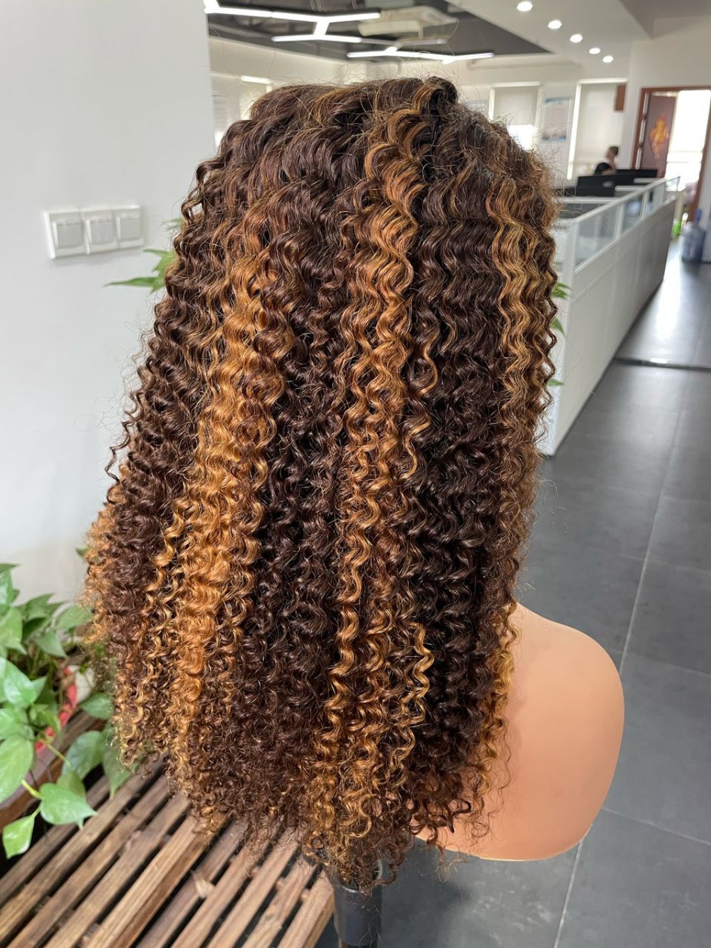 Color 4/30 Curly Highlights Lace Front Wig