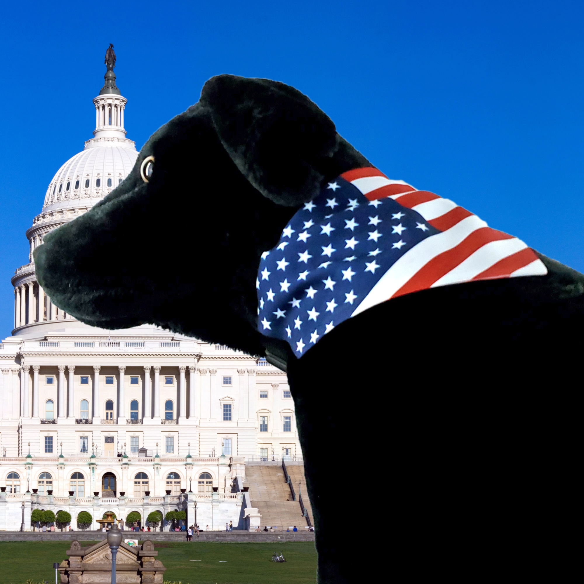 American Flag Bandana