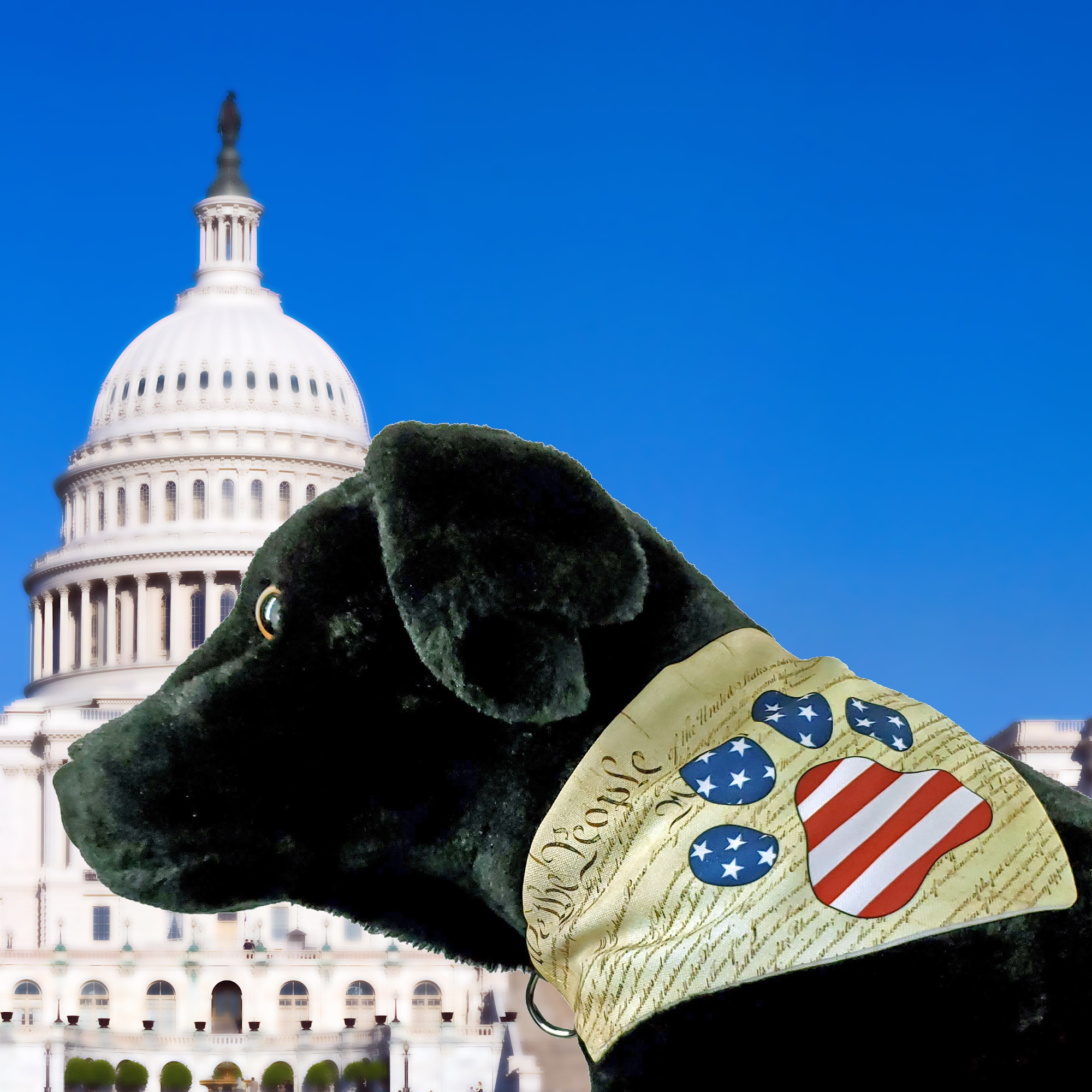 We the People Paw Print Bandana