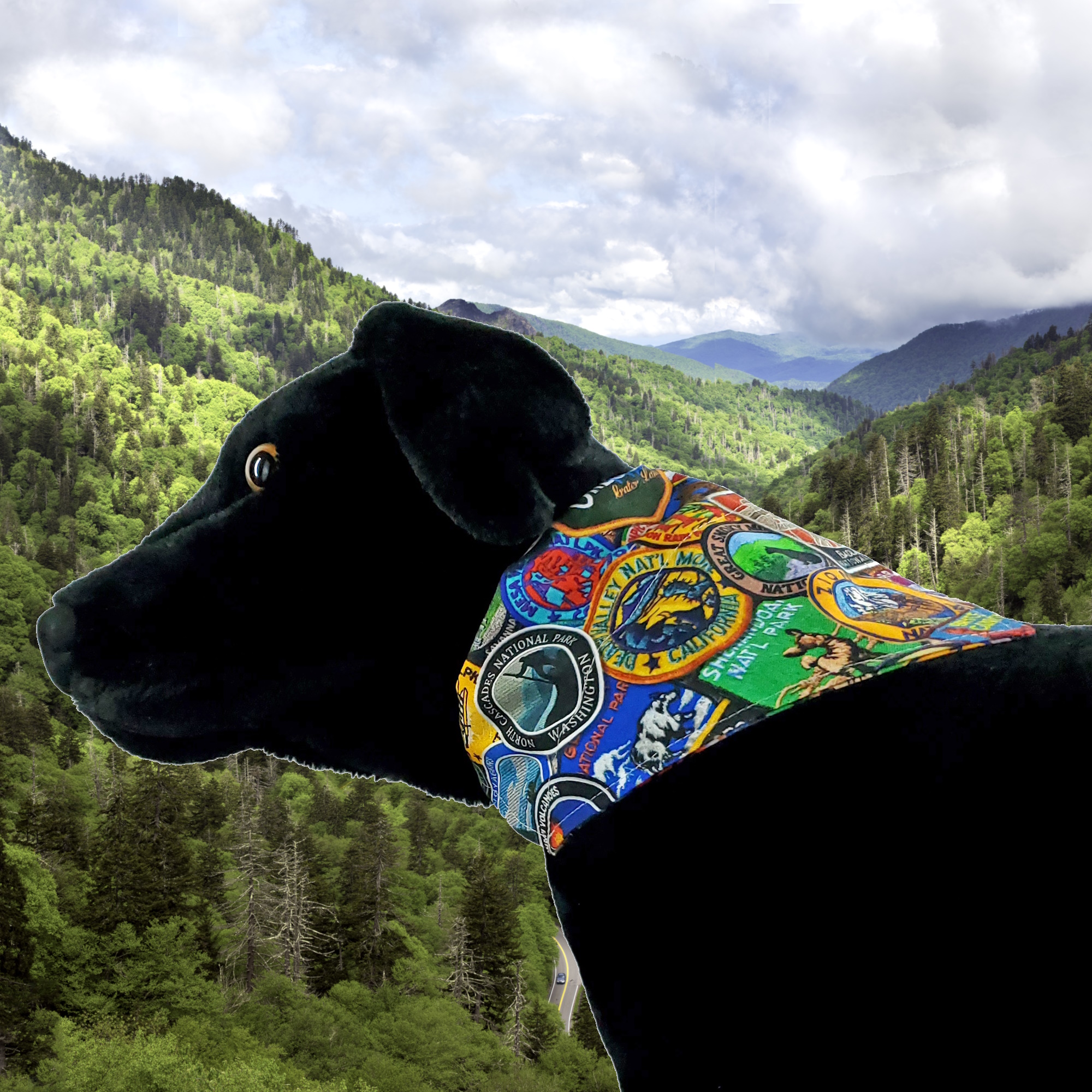 National Park Themed Bandana