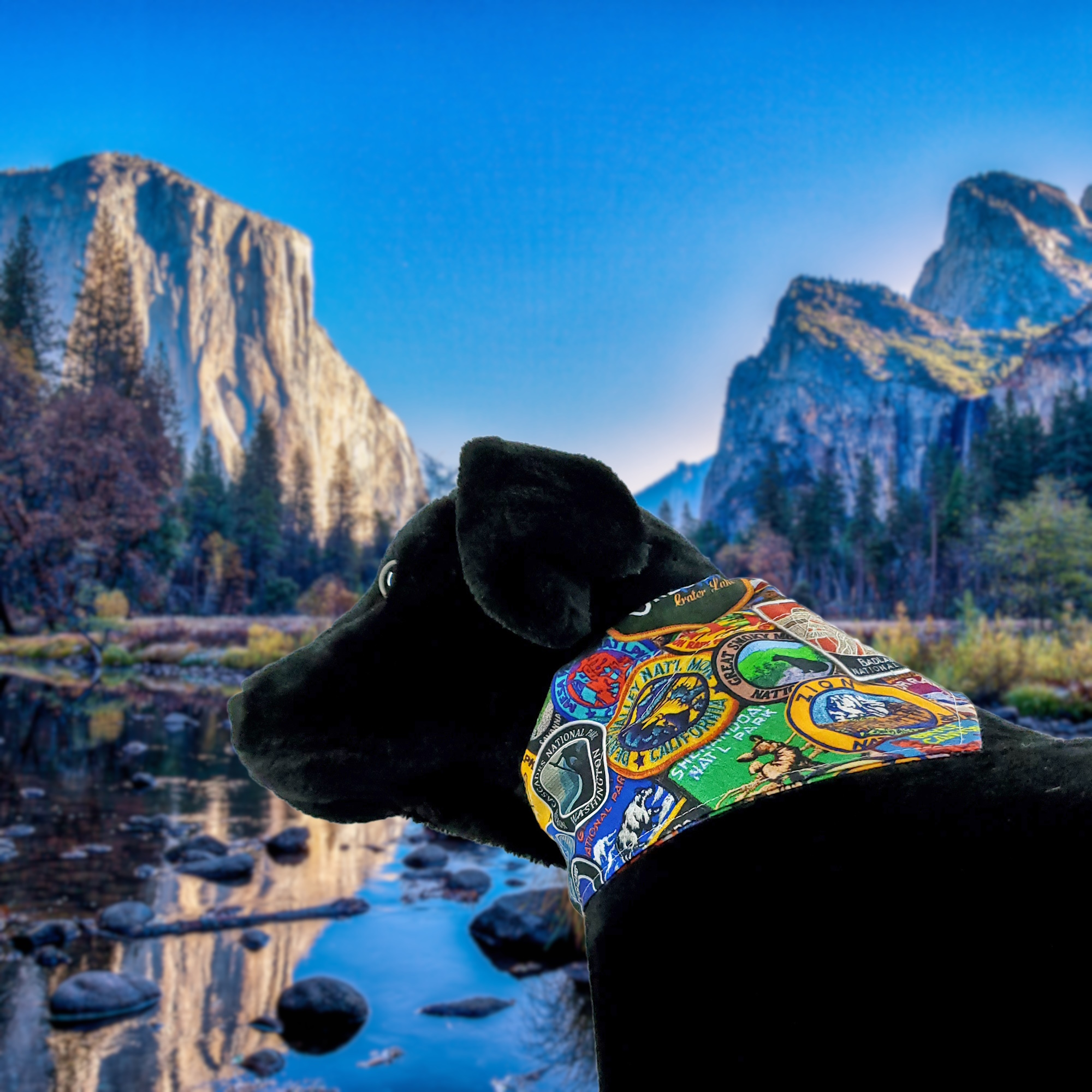 National Park Themed Bandana