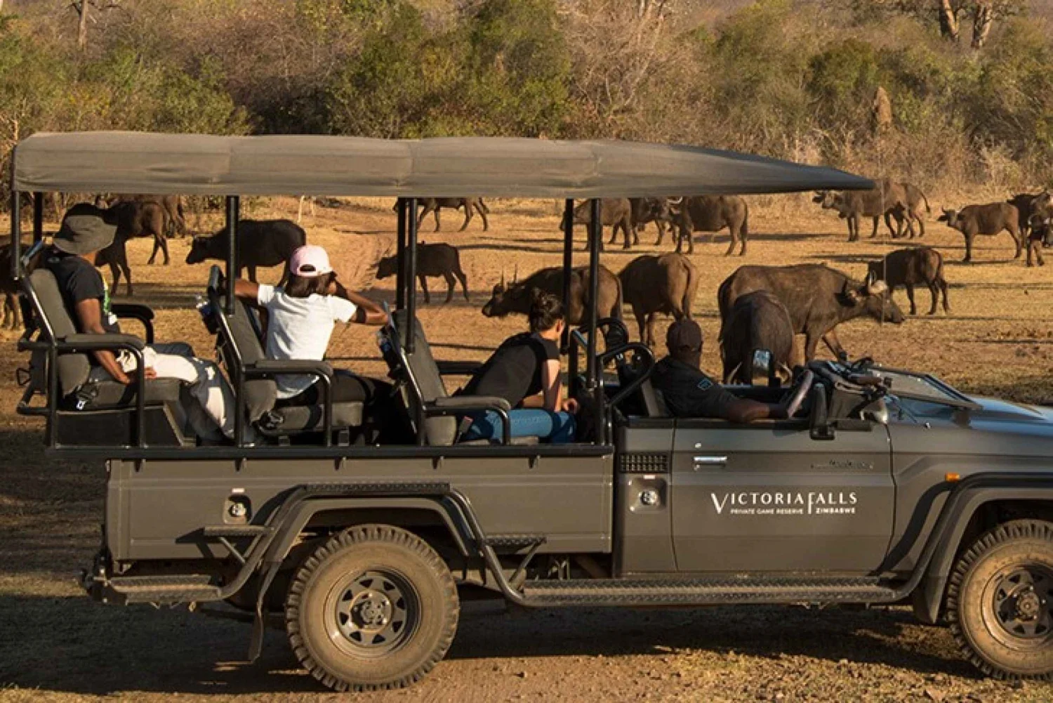 5 Days Luxury Safari ~ Victoria Falls, Zambia, Chobe National Park (Botswana)