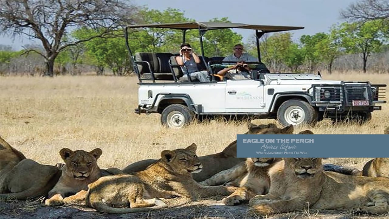 5 Days Luxury Safari ~ Victoria Falls, Zambia, Chobe National Park (Botswana)