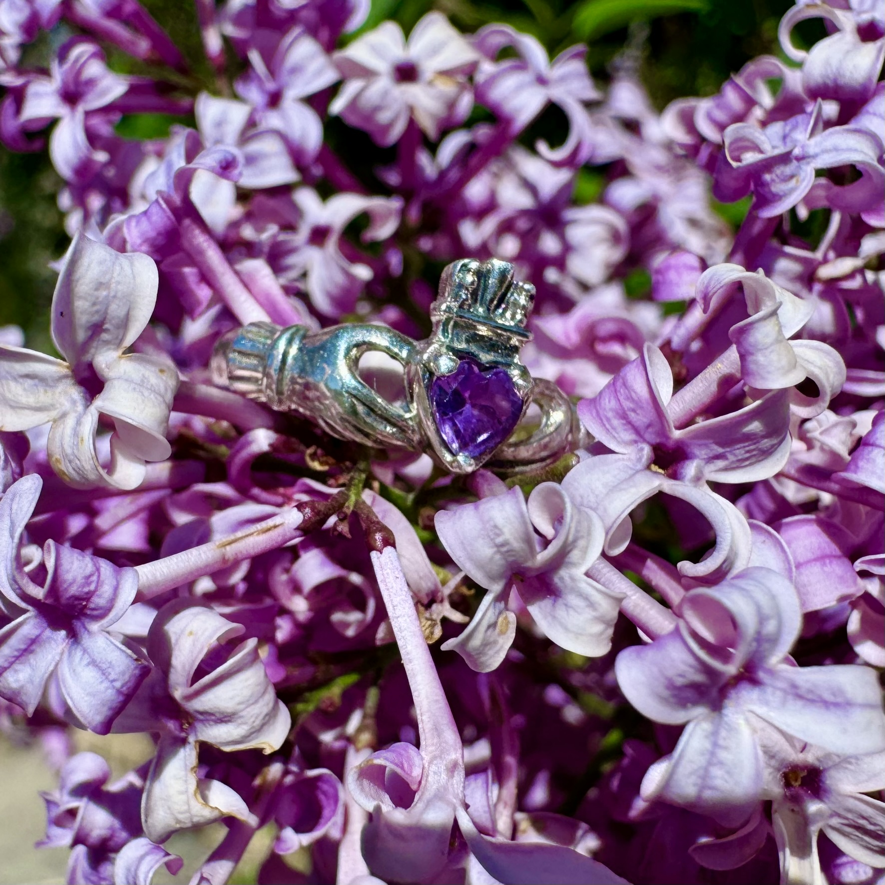 Claddagh Sterling Silver Ring with Amethyst