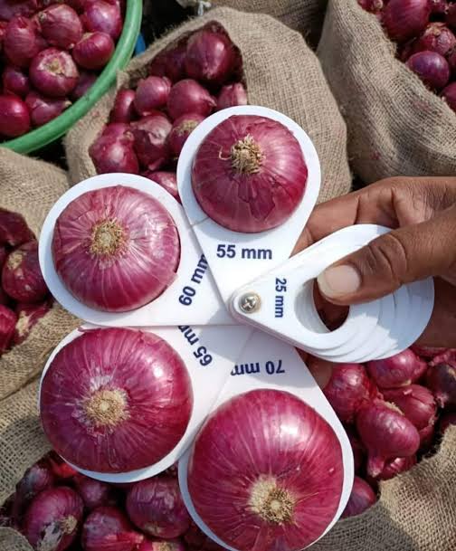 Red Onions