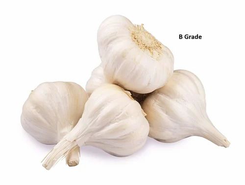 Fresh Garlic