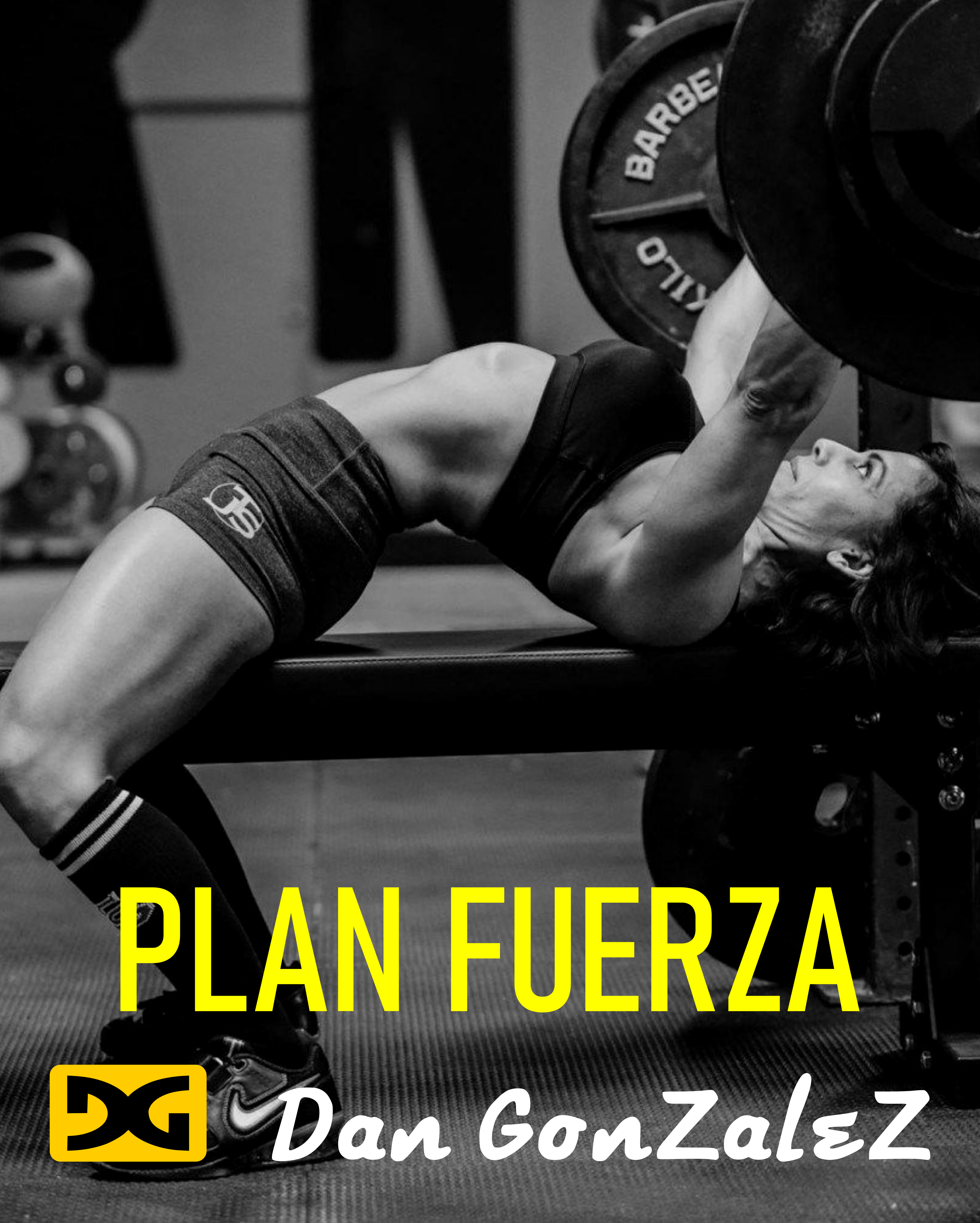 PLAN FUERZA