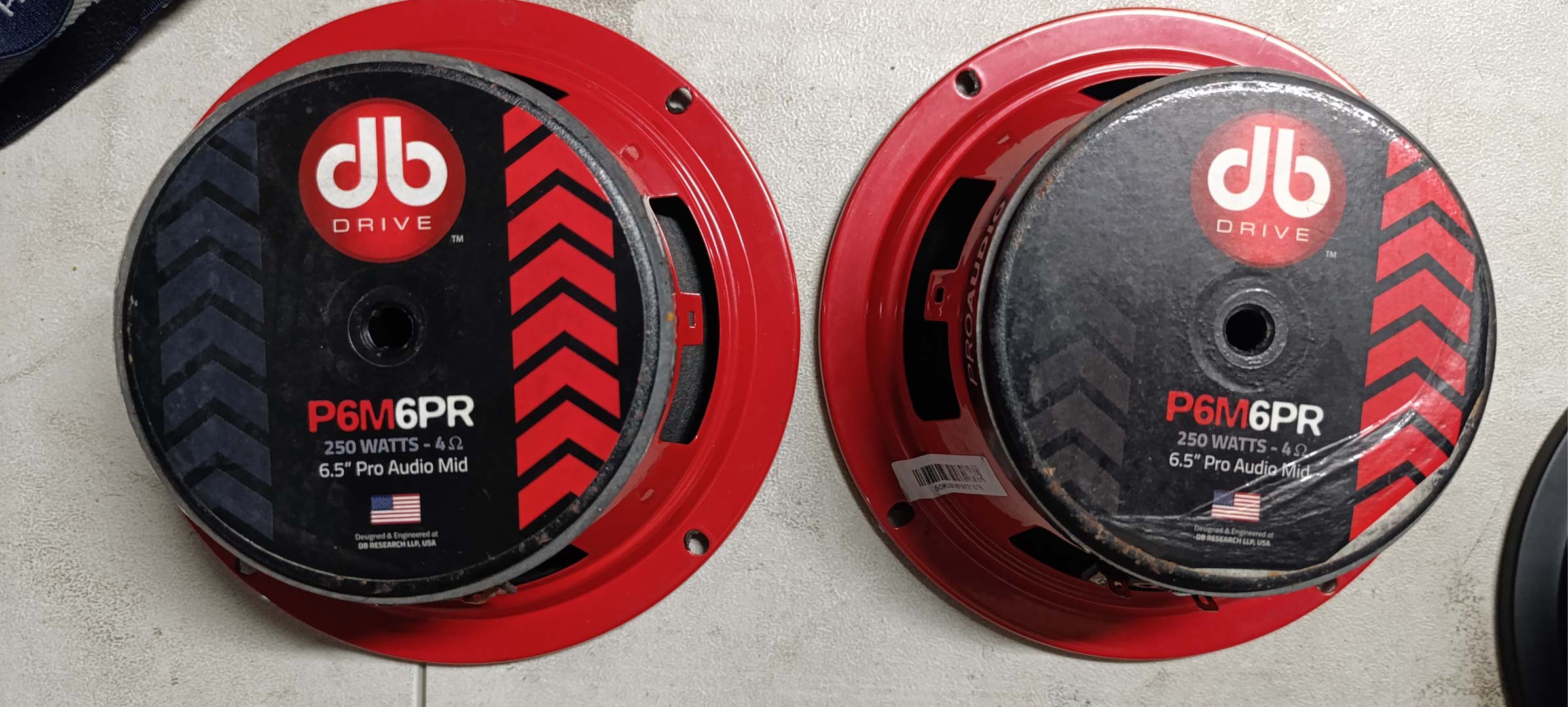 db Drive P6MP6R 6.5" 4ohm Speakers