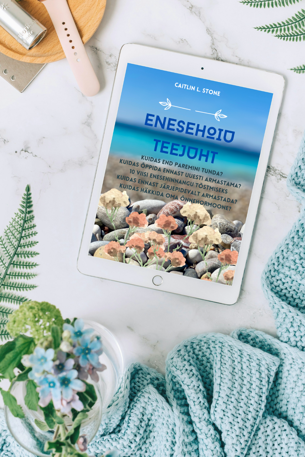 Enesehoiu Teejuht