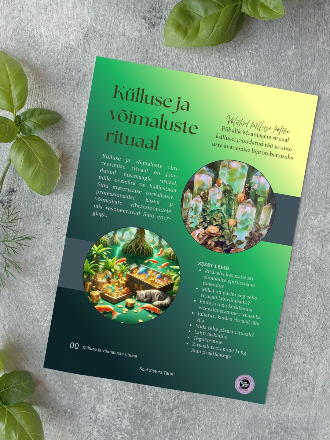 Külluse ja võimaluste rituaal: Võlutud külluse kotike