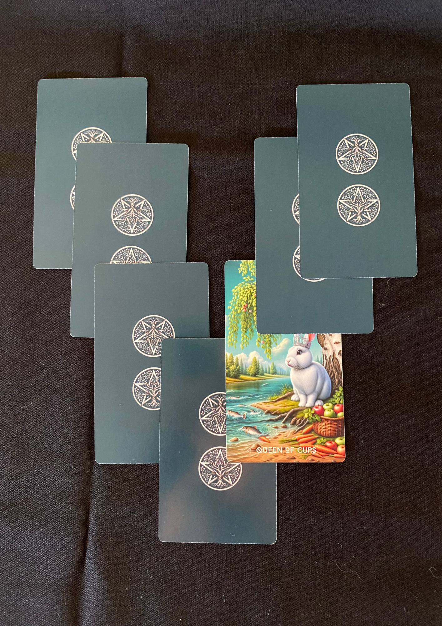 Daily Tarot Card: 7 Day Guidance 