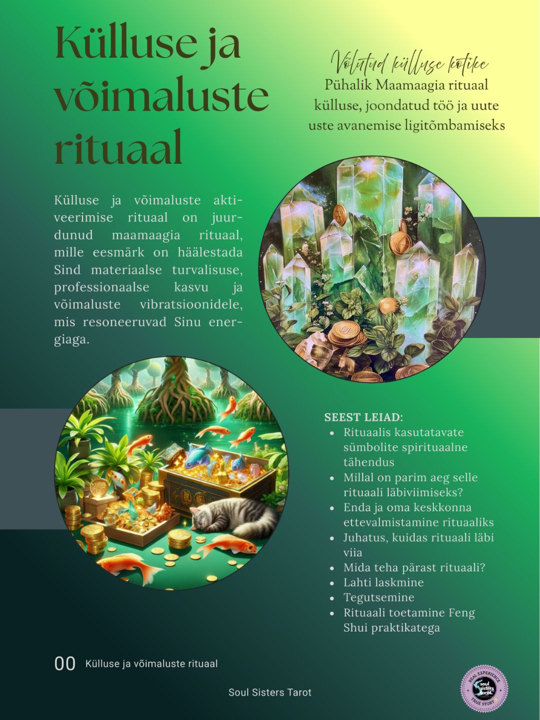 Külluse ja võimaluste rituaal: Võlutud külluse kotike