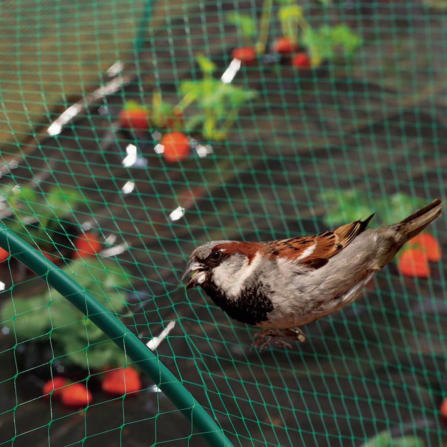 Mallas Anti Pájaros #30 - Rollo 50m