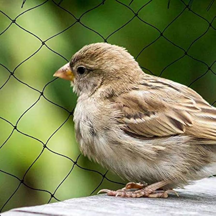 Mallas Anti Pájaros #36 - Rollo 50m