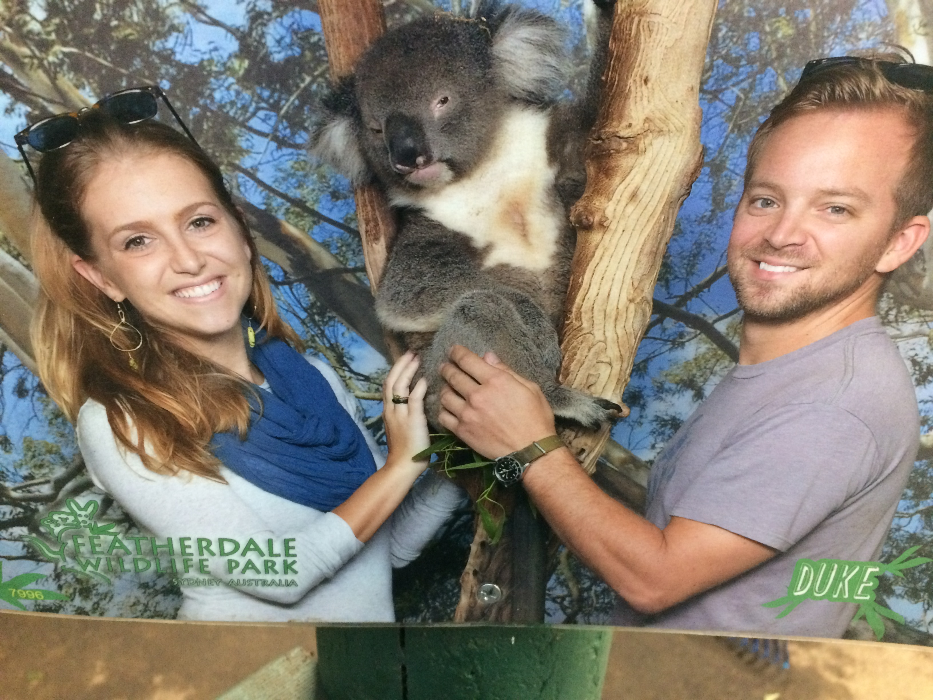 Blue Mountains PRIVATE 1 day tour Daily (not Sat)