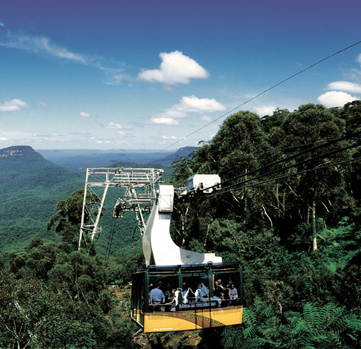 Scenic World Entry
