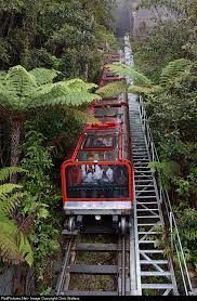 Scenic World Entry
