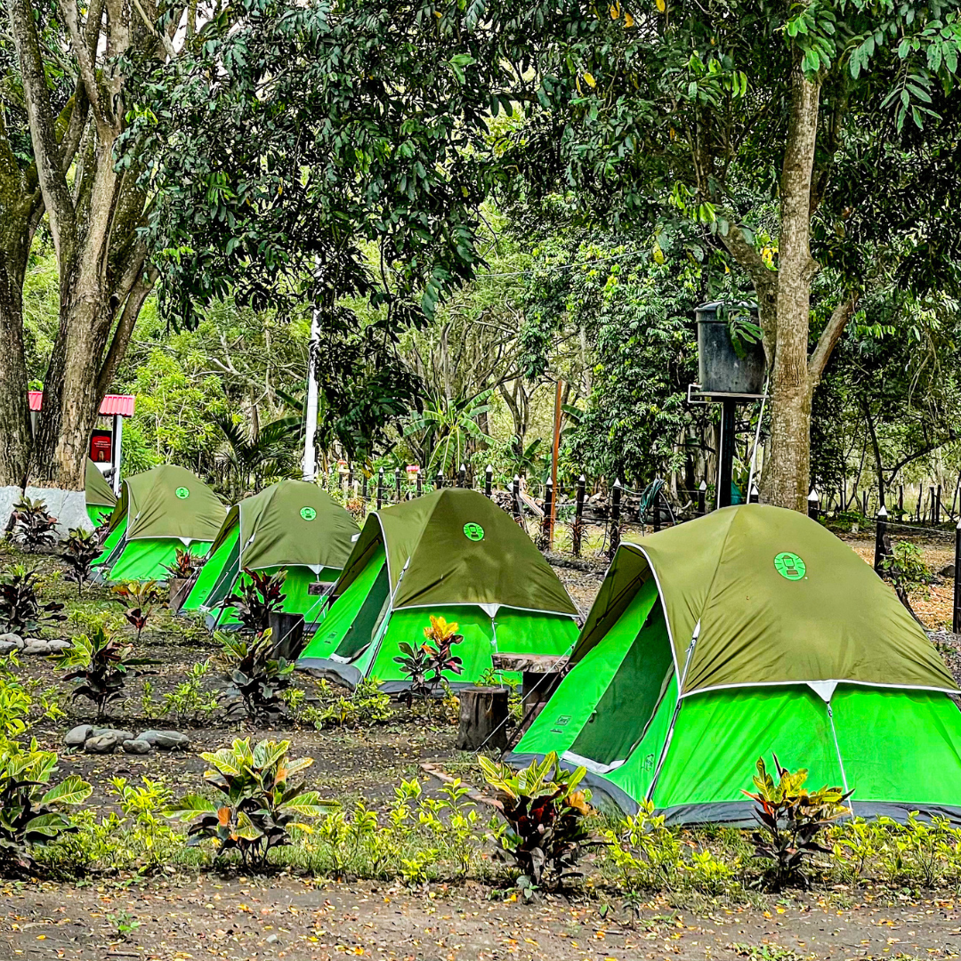 Camping Naranja