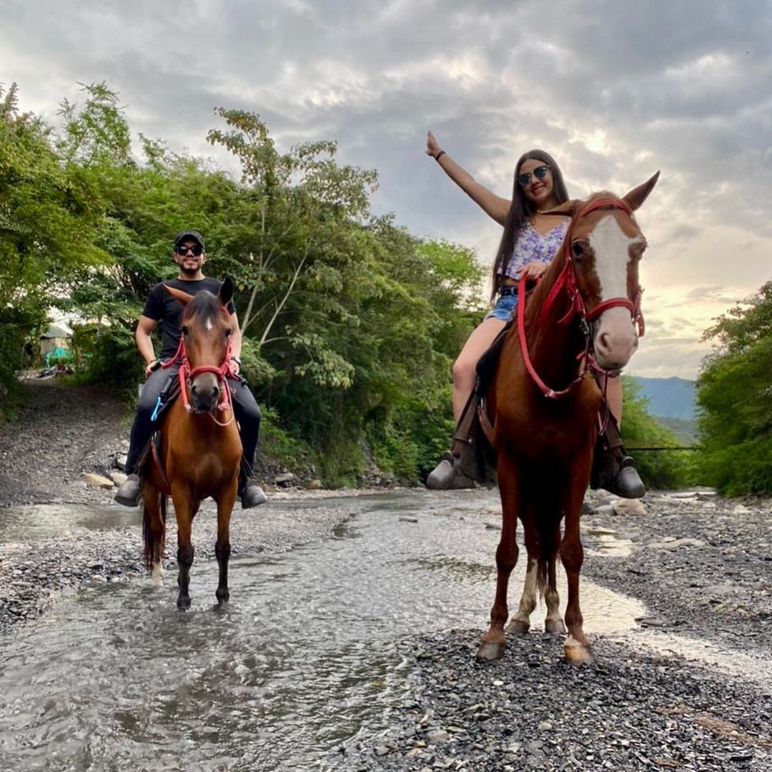 Plan Capybara Al Limite