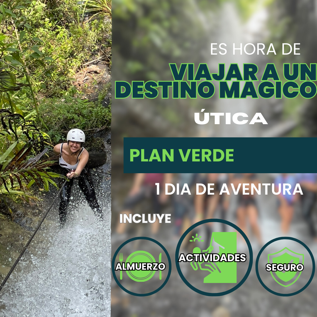Plan Verde