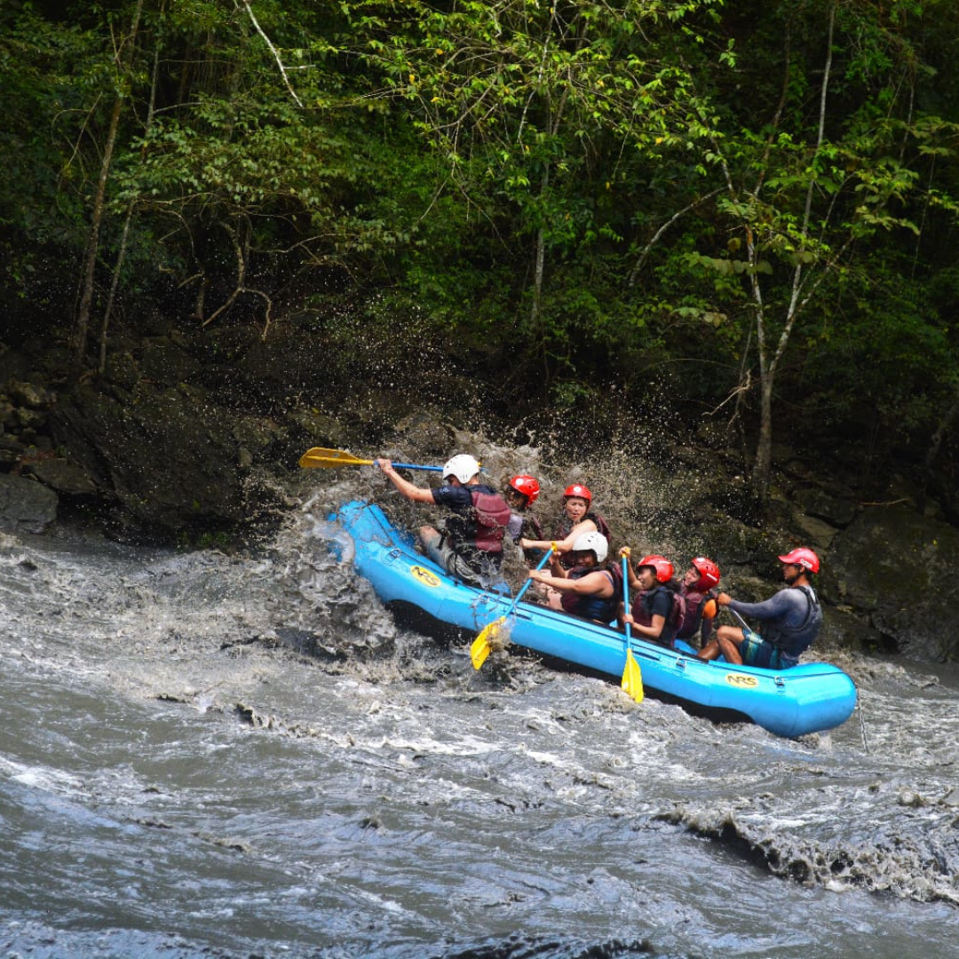 Plan Rosado al Límite