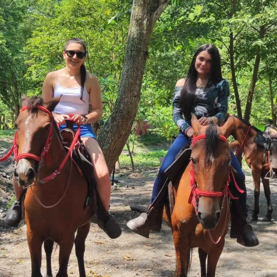 Plan Capybara Al Limite