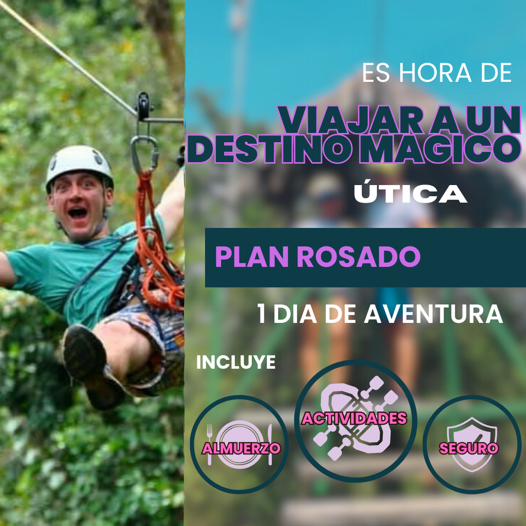 Plan Rosado