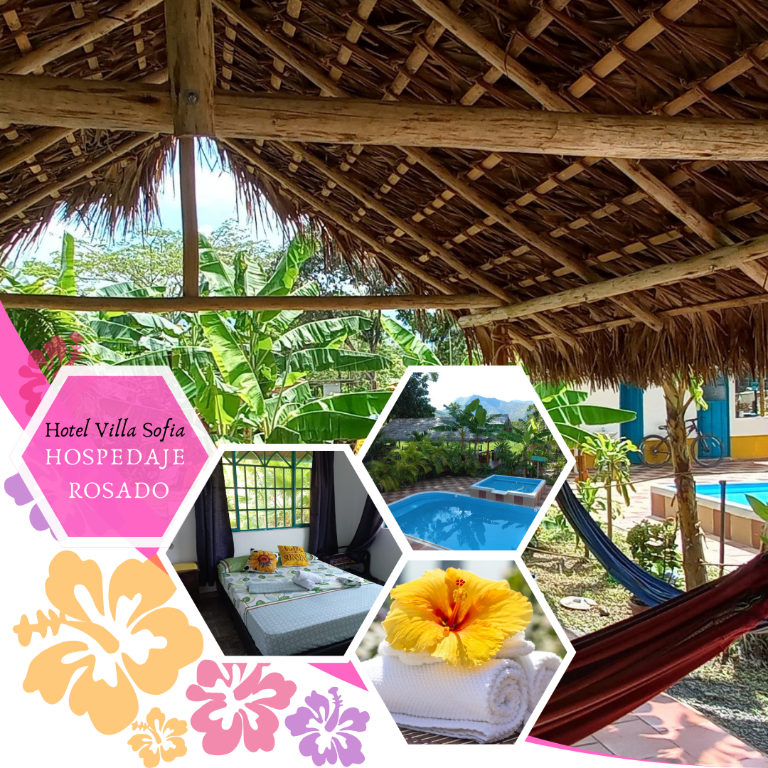Hospedaje Rosado Hotel Villa Sofía