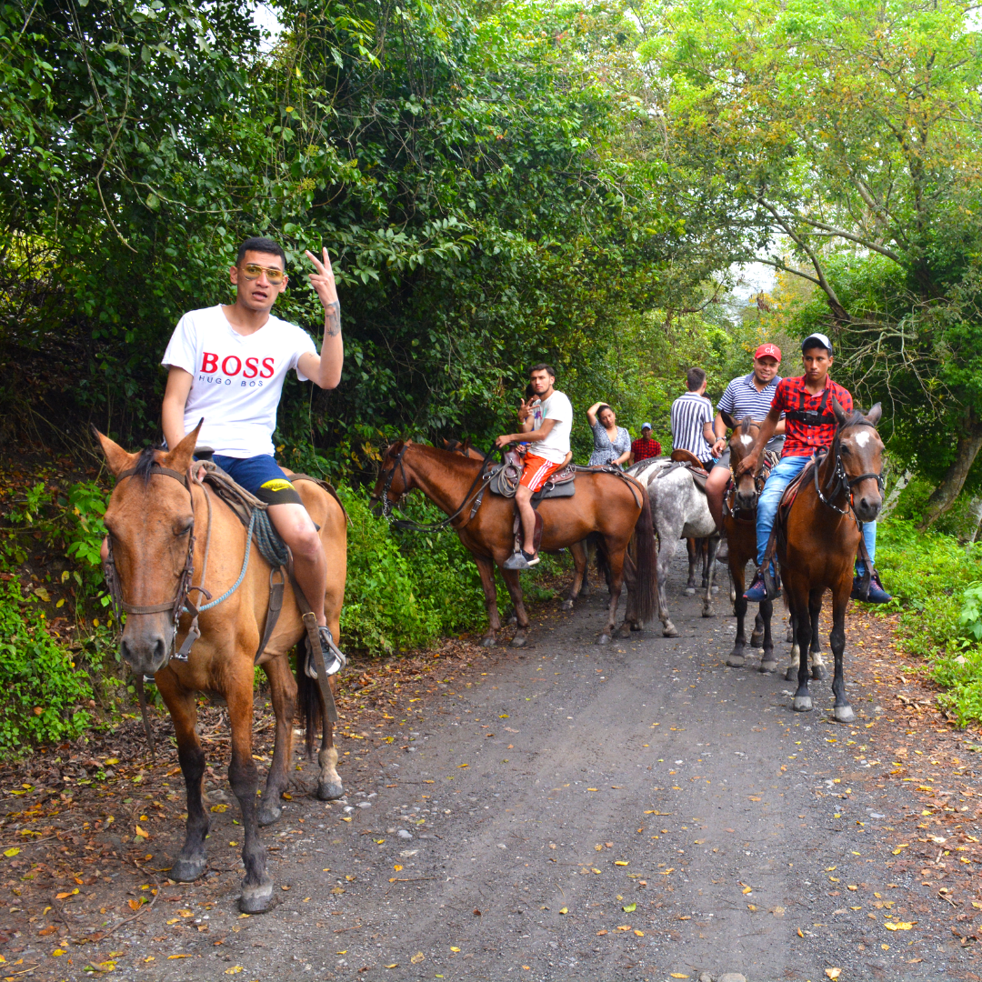 Plan Capybara Al Limite