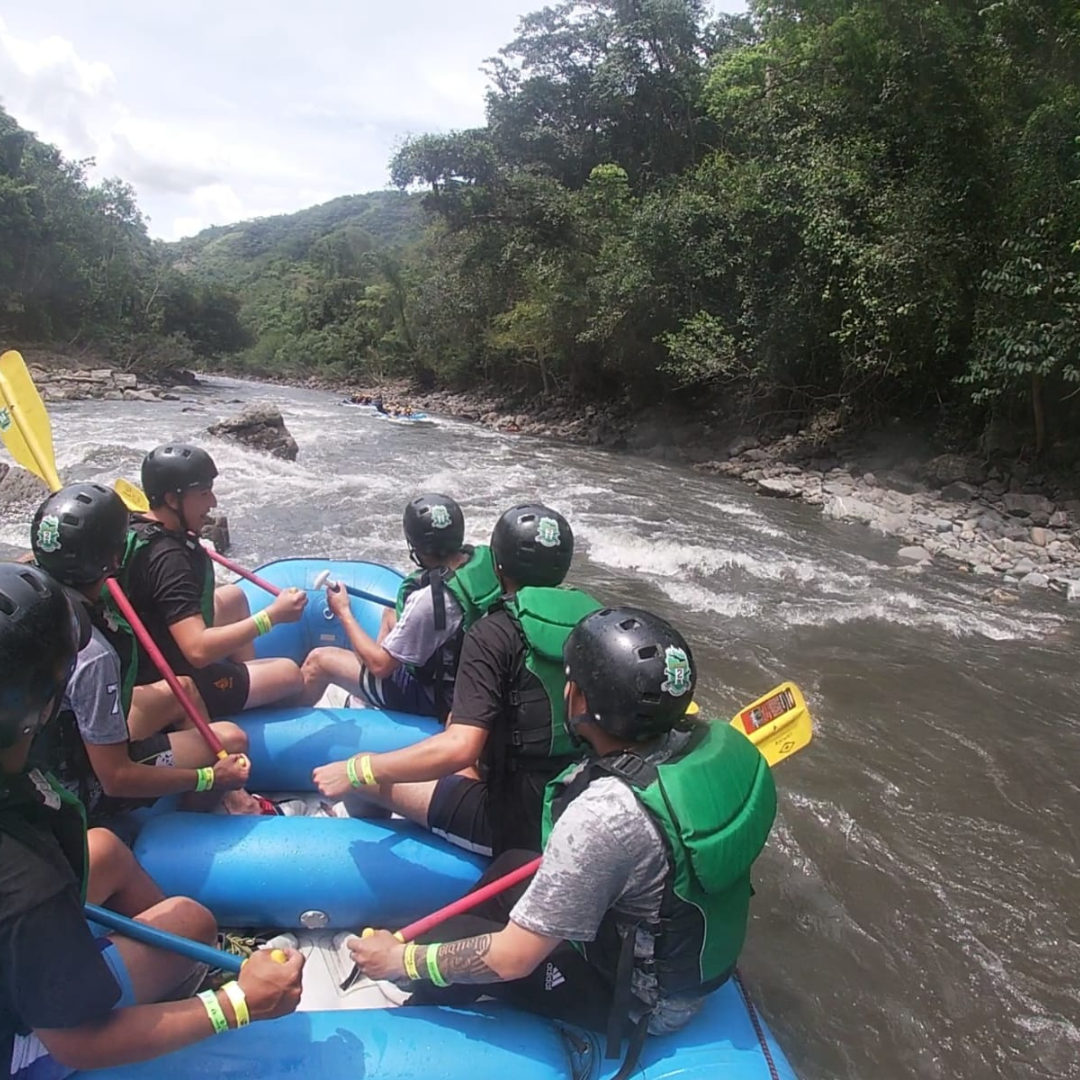 Plan Rosado al Límite