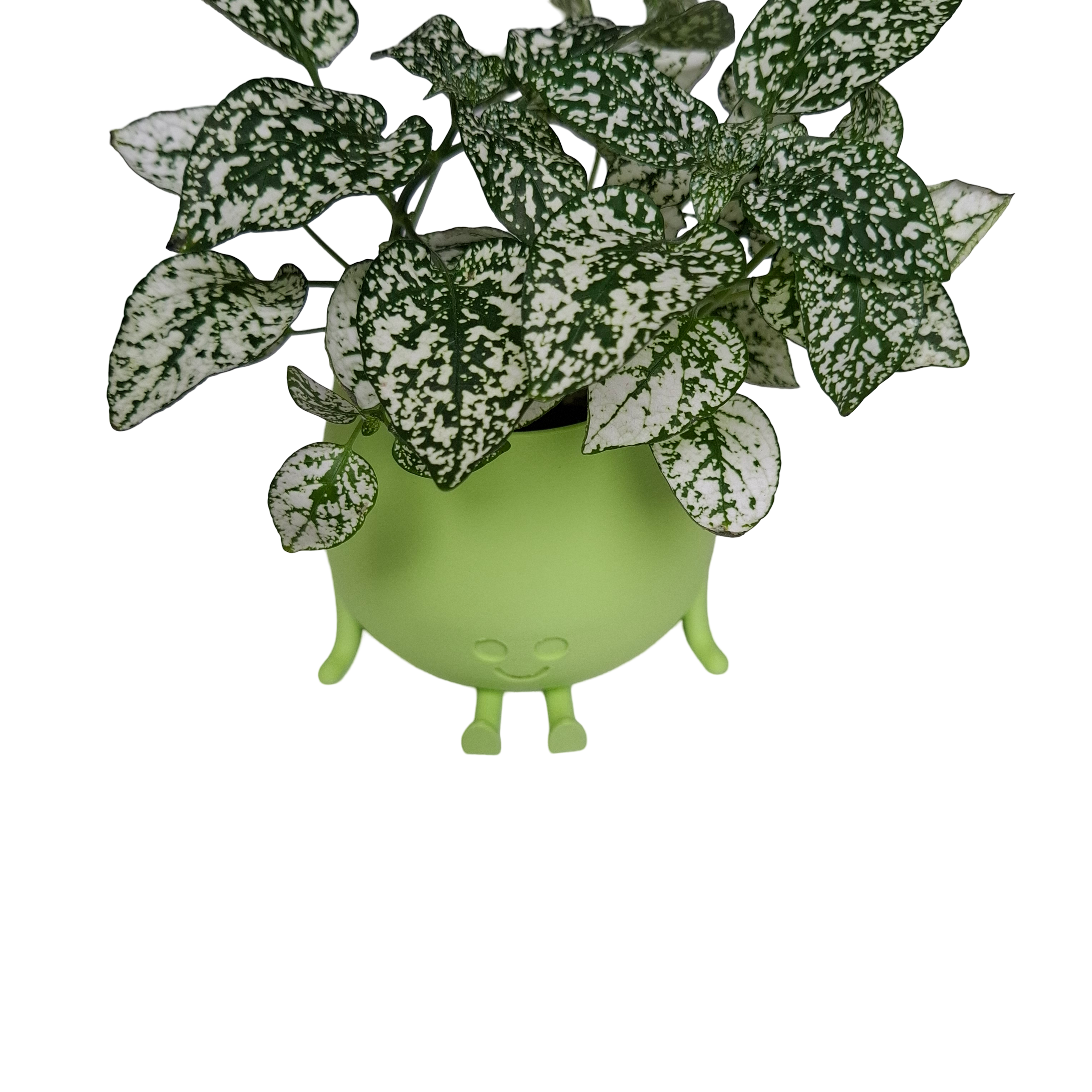 Set Happy Face potten 4 stuks