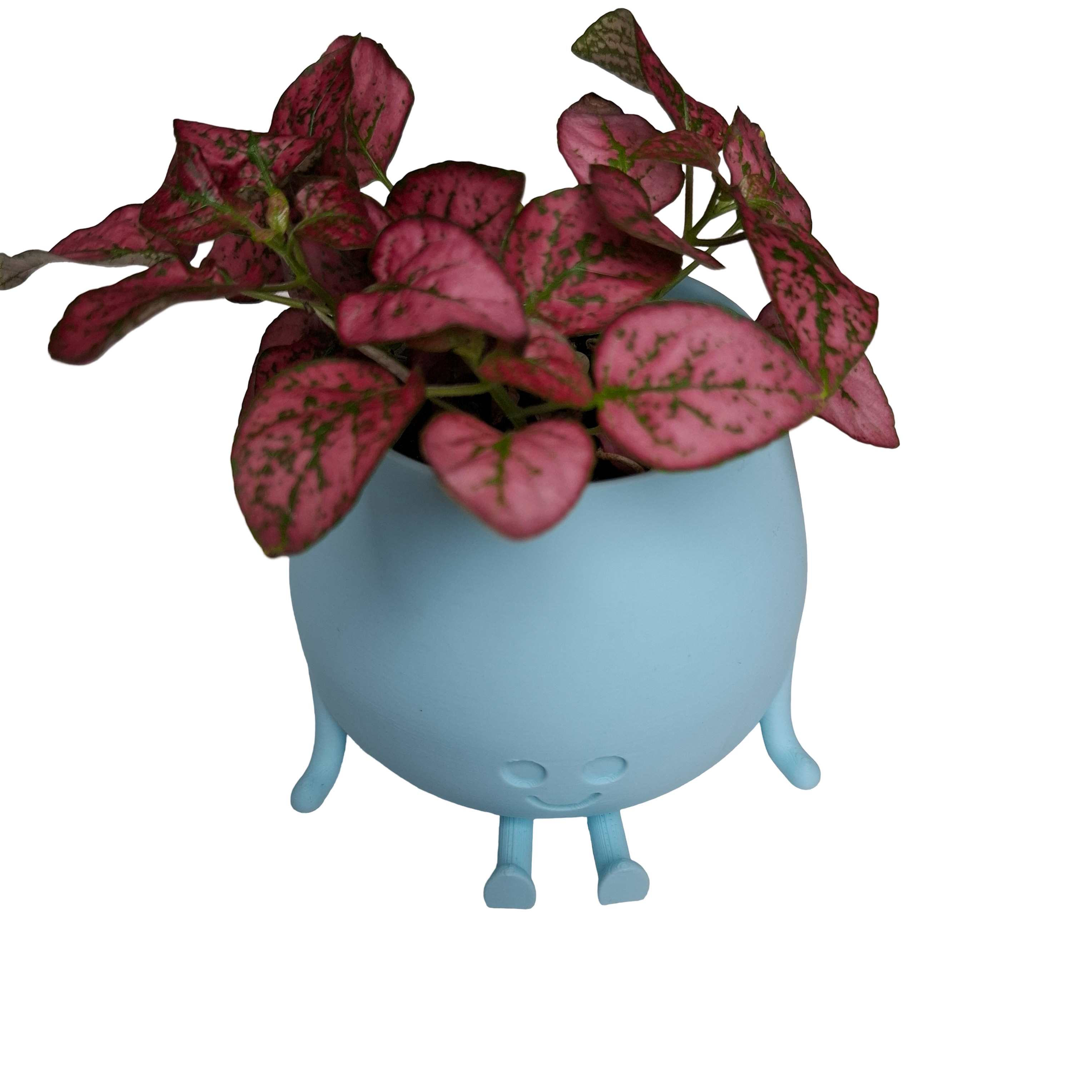 Set Happy Face potten 4 stuks