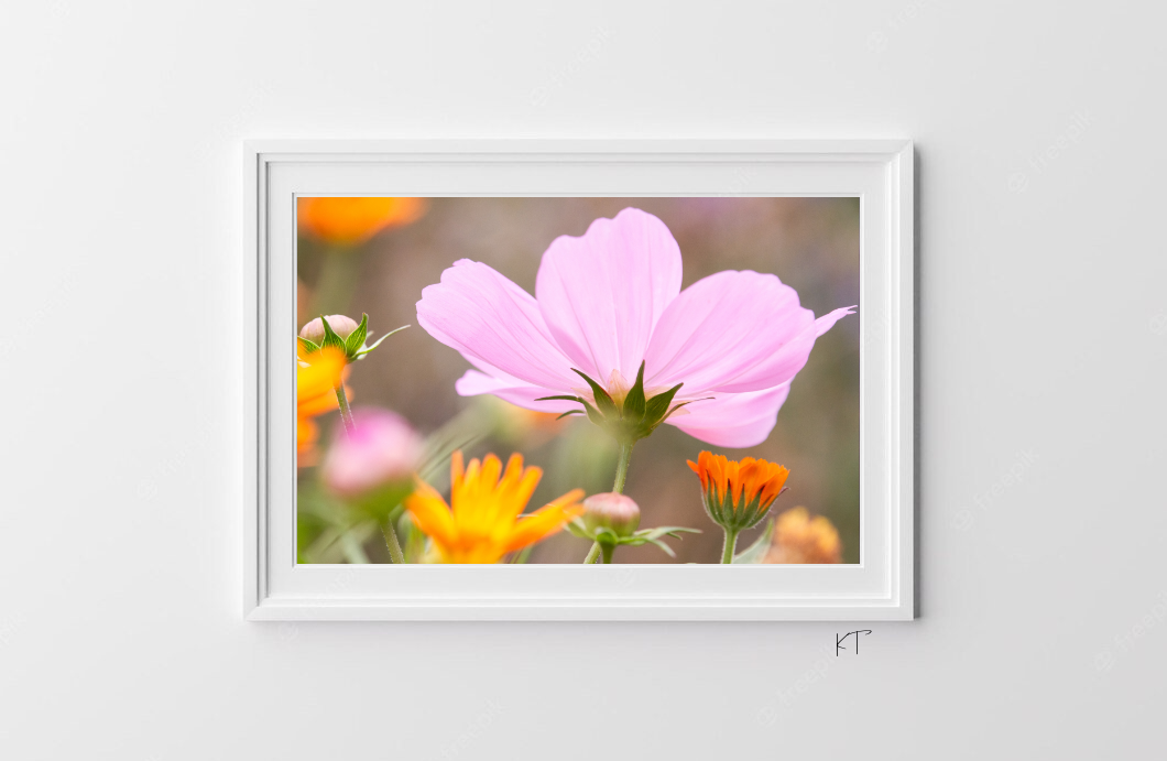 Petals Of Serenity